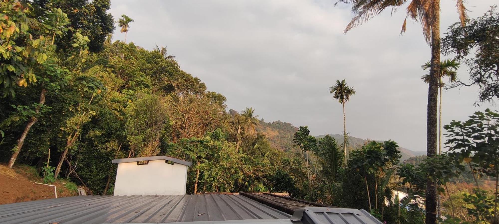 Koonamparayil Home Stay Munnar Anaviratty-Family Only מראה חיצוני תמונה