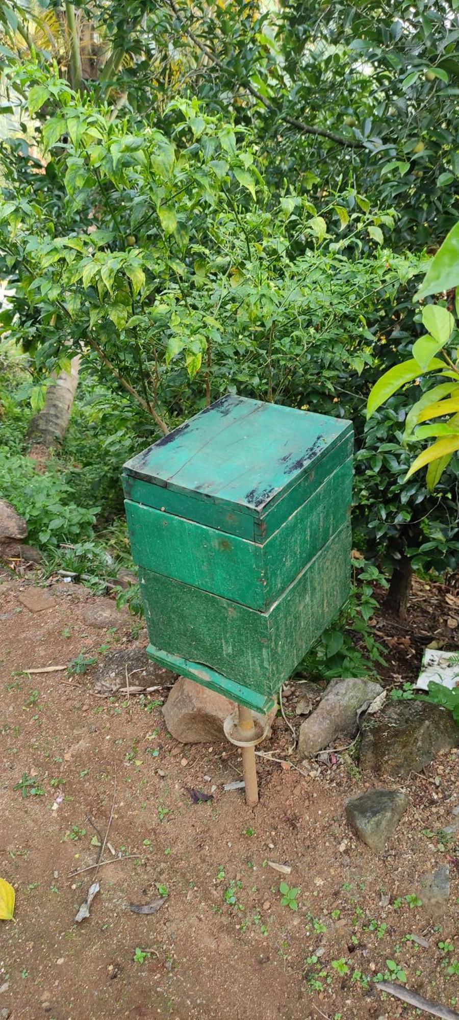 Koonamparayil Home Stay Munnar Anaviratty-Family Only מראה חיצוני תמונה
