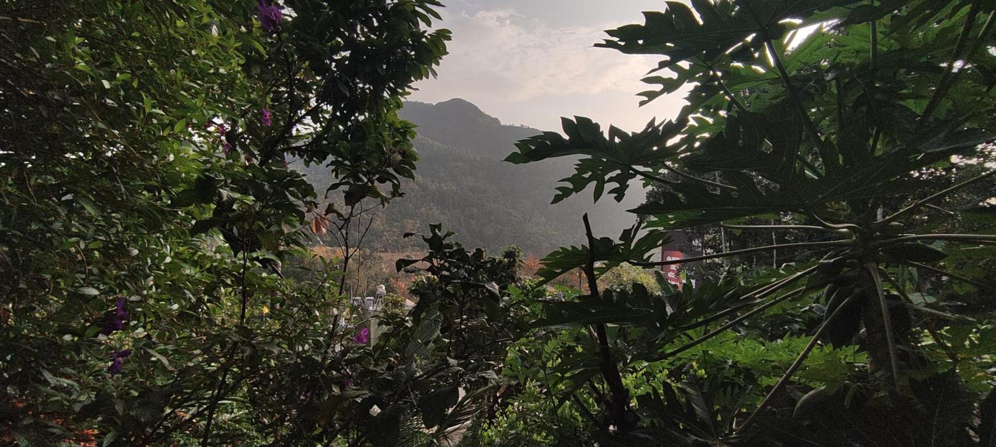 Koonamparayil Home Stay Munnar Anaviratty-Family Only מראה חיצוני תמונה