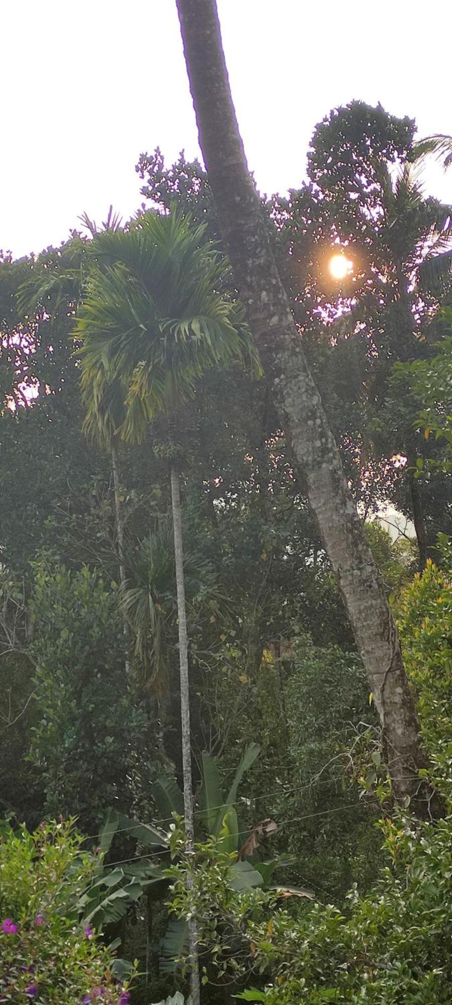 Koonamparayil Home Stay Munnar Anaviratty-Family Only מראה חיצוני תמונה