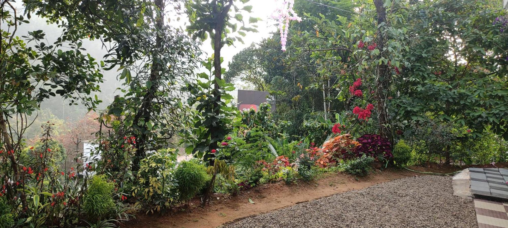 Koonamparayil Home Stay Munnar Anaviratty-Family Only מראה חיצוני תמונה