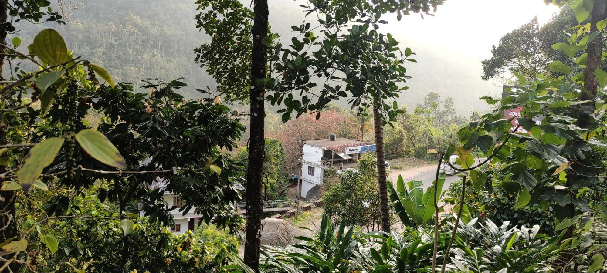 Koonamparayil Home Stay Munnar Anaviratty-Family Only מראה חיצוני תמונה